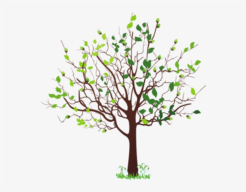 Spring Tree With Snowdrops Png Clipart Picture - Spring Tree Clipart, transparent png