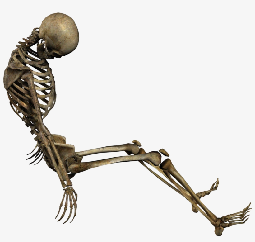 Skeleton - Drawing, transparent png