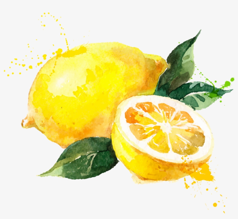 Watercolor Painting Royalty Free - Lemon Watercolor Vector Free, transparent png