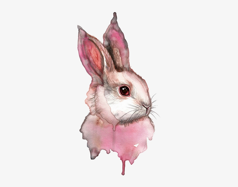Montanarosepainter - Rabbit Drawing, transparent png
