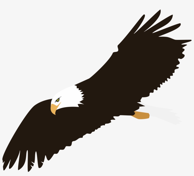42+ Transparent Background Eagle Png Hd Pics