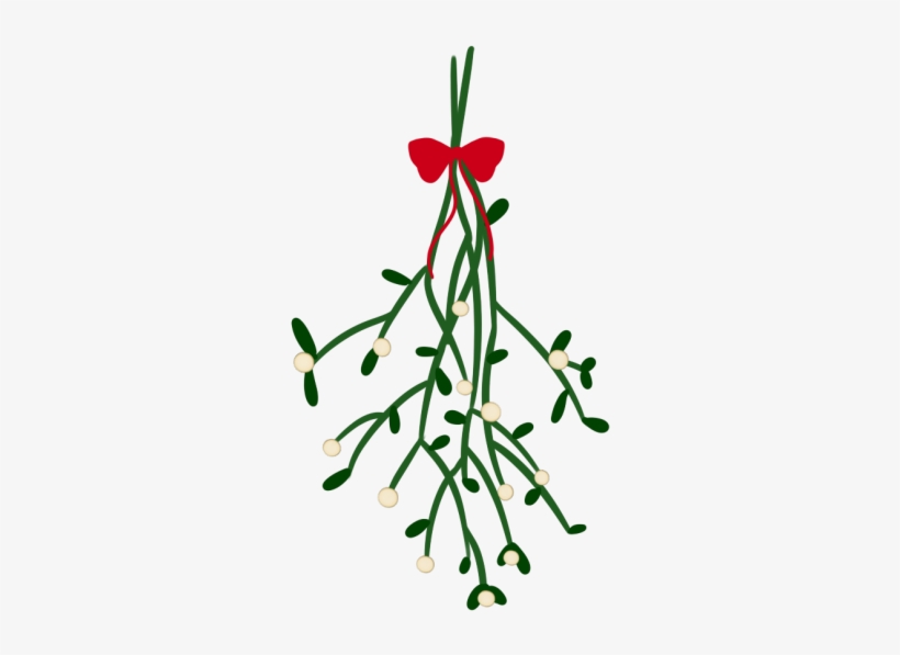 No No No Clip Art - Mistletoe Png, transparent png