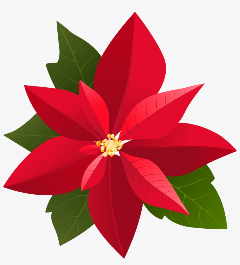 Christmas Poinsettia Png Clip Art, transparent png