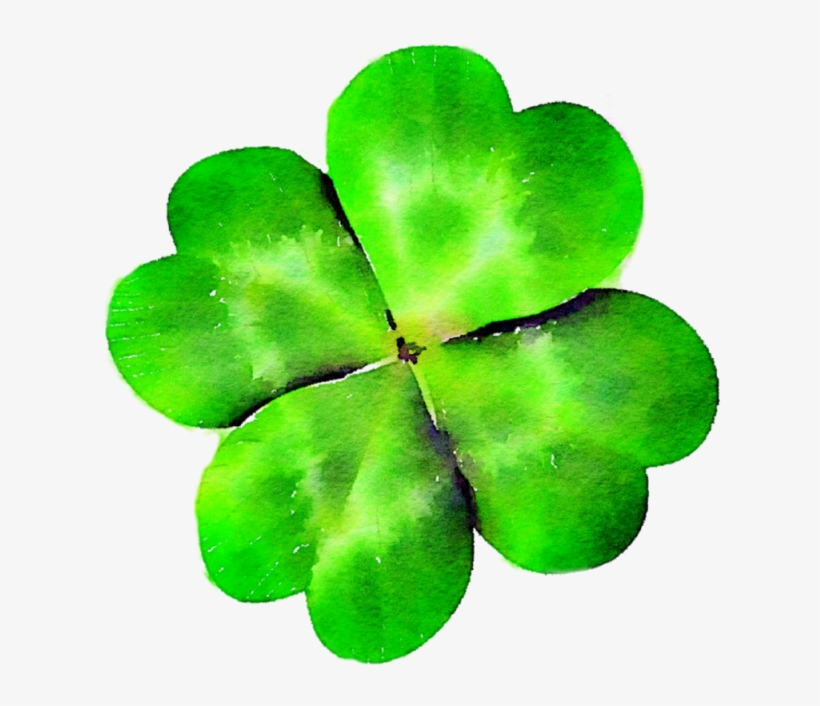 Four Leaf Clover, Clover, Green, St Patty's Day Png - Rotational Symmetry In Flowers, transparent png