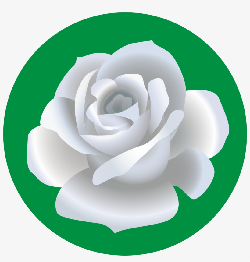 Garden Roses Beach Rose Drawing Flower - Rosa Blanca Dibujo Png, transparent png