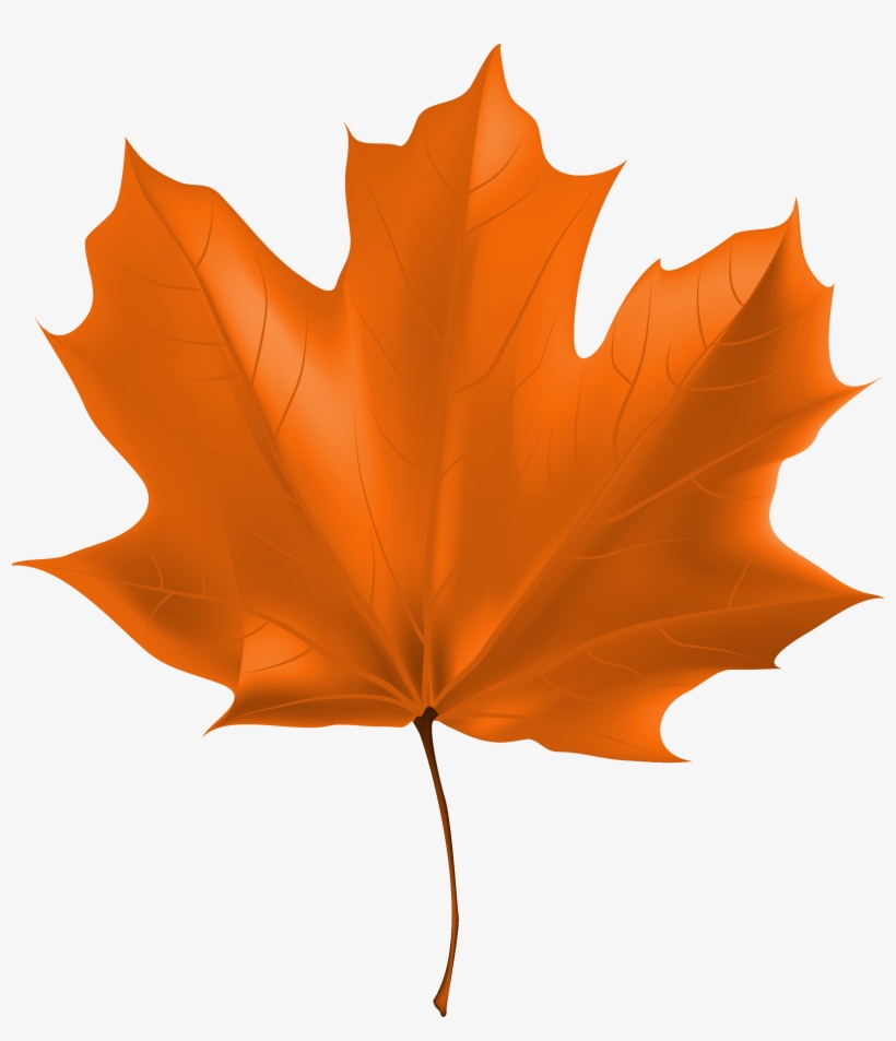 Autumn Leaf Clipart Png, transparent png