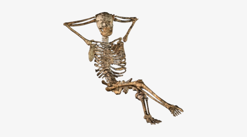Free Icons Png - Skeleton Png, transparent png