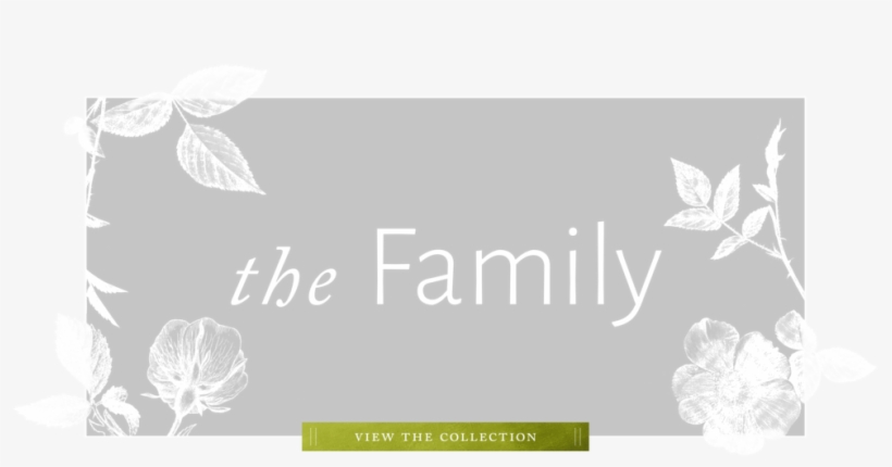 Family - Rose, transparent png