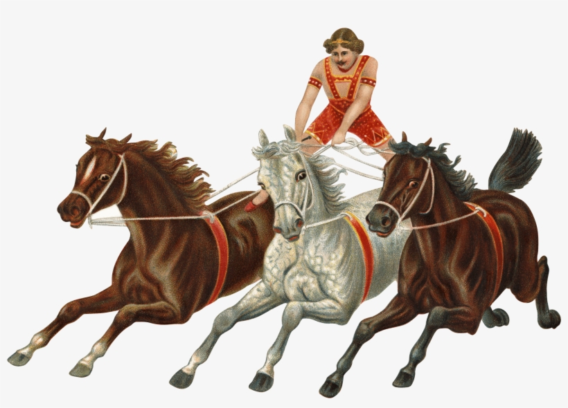 Vintage Carriage Png Stickpng - Hold Your Horses Idiomatic Expressions, transparent png
