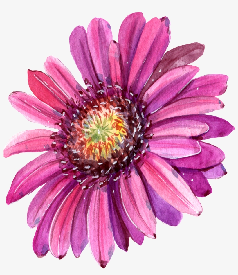 This Graphics Is Hand Painted Red Chrysanthemum Png - Flower, transparent png