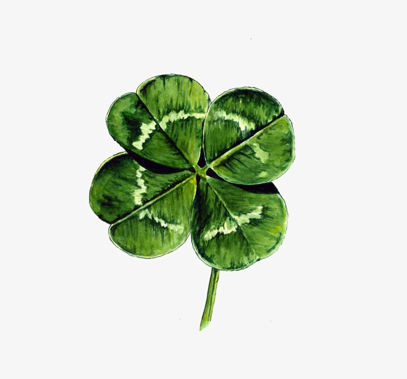 White Clover Four-leaf Clover Watercolor Painting Drawing - Four Leaf Clover Drawing, transparent png