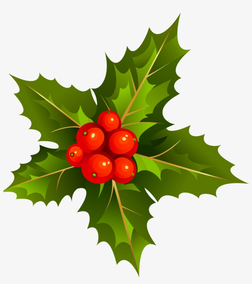 Download - Mistletoe Clipart, transparent png