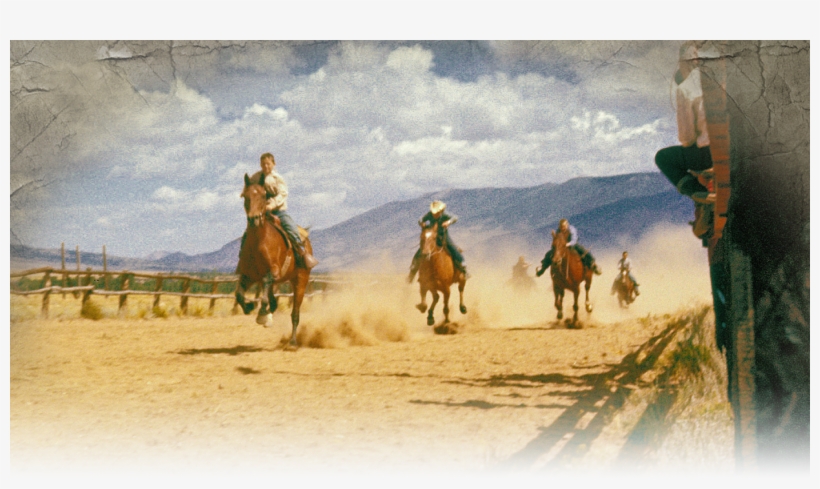 Wrangler Reunion - Sahara, transparent png