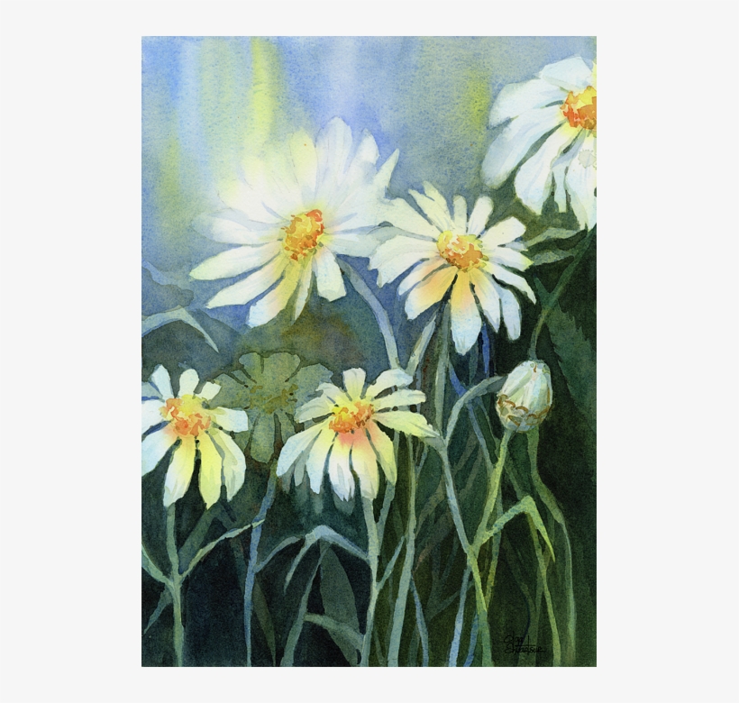 Click And Drag To Re-position The Image, If Desired - Watercolor Daisy Flower Painting, transparent png