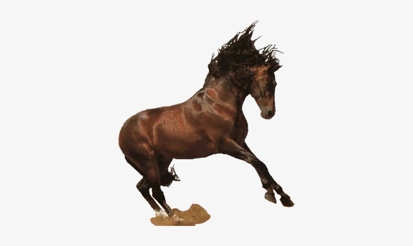 Western Horse Png Jpg Black And White Library - Horse Western Png, transparent png