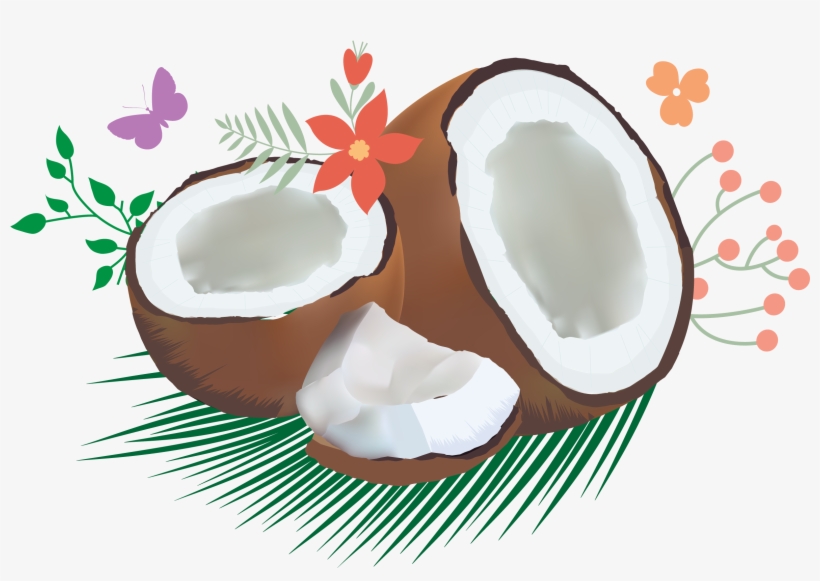 Cocoanut Clipart Coconat - Coconut Oil, transparent png