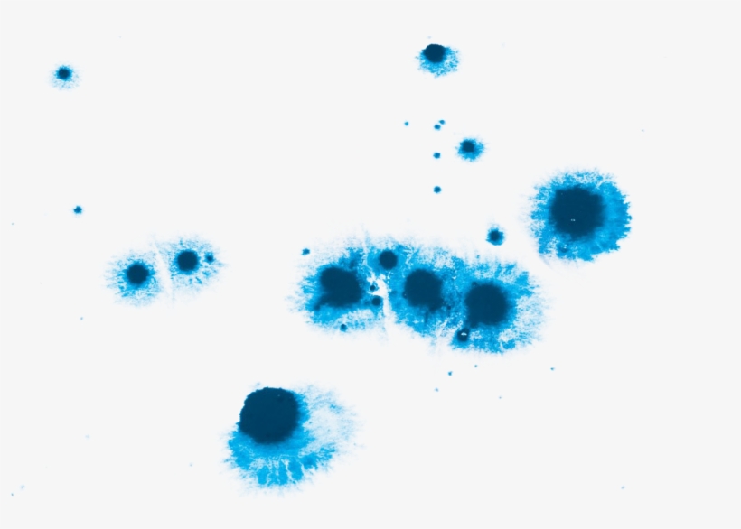 Free Library Watercolor Painting Drop Blue Water Droplets - Watercolor Drop, transparent png