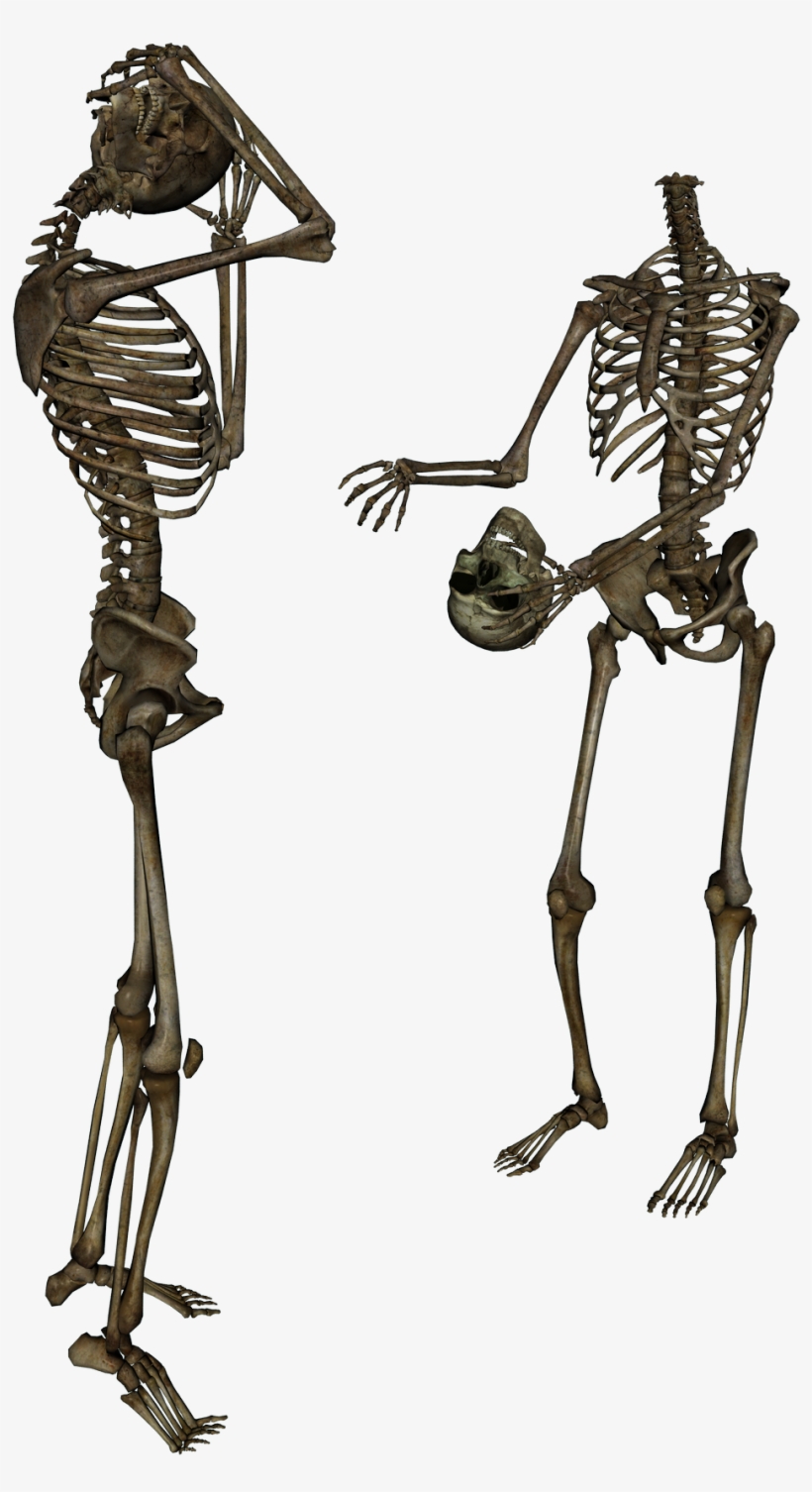Png On Your Request - Skeletons Png, transparent png