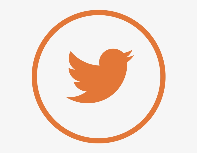 Follow Uf Law To Keep Up With Our Faculty, Students, - Twitter Bird Logo Psd, transparent png