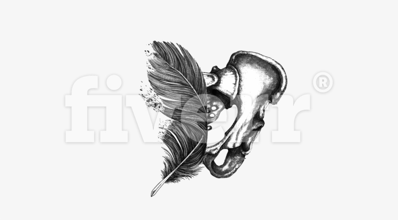 Red-tailed Hawk, transparent png