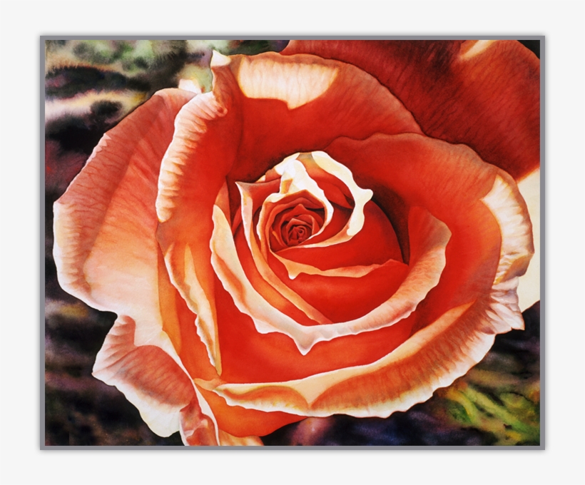 Original Watercolor Painting - Floribunda, transparent png