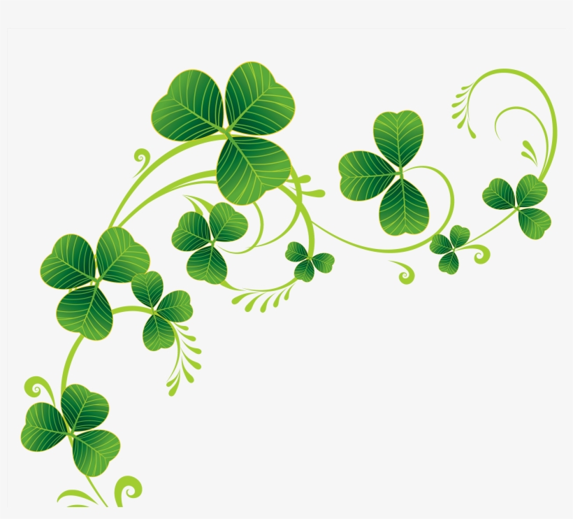Transparent Shamrocks Decor Png Clipart - Shamrocks Clip Art, transparent png