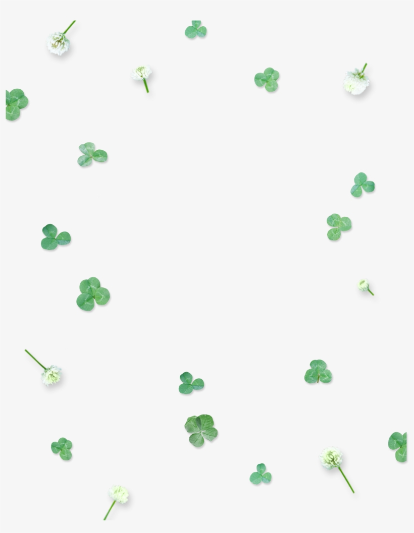 This Graphics Is Green Cute Four Leaf Clover Floating - Poster, transparent png