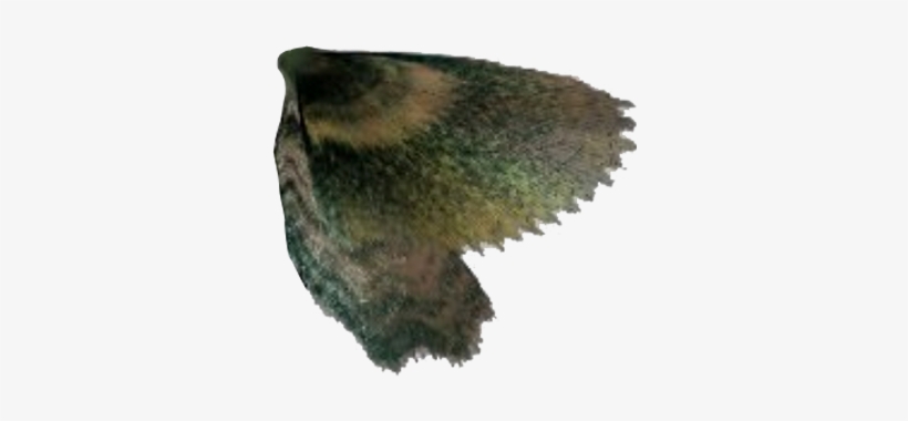 According To A Timeline Of Major Developments In The - Eagle, transparent png