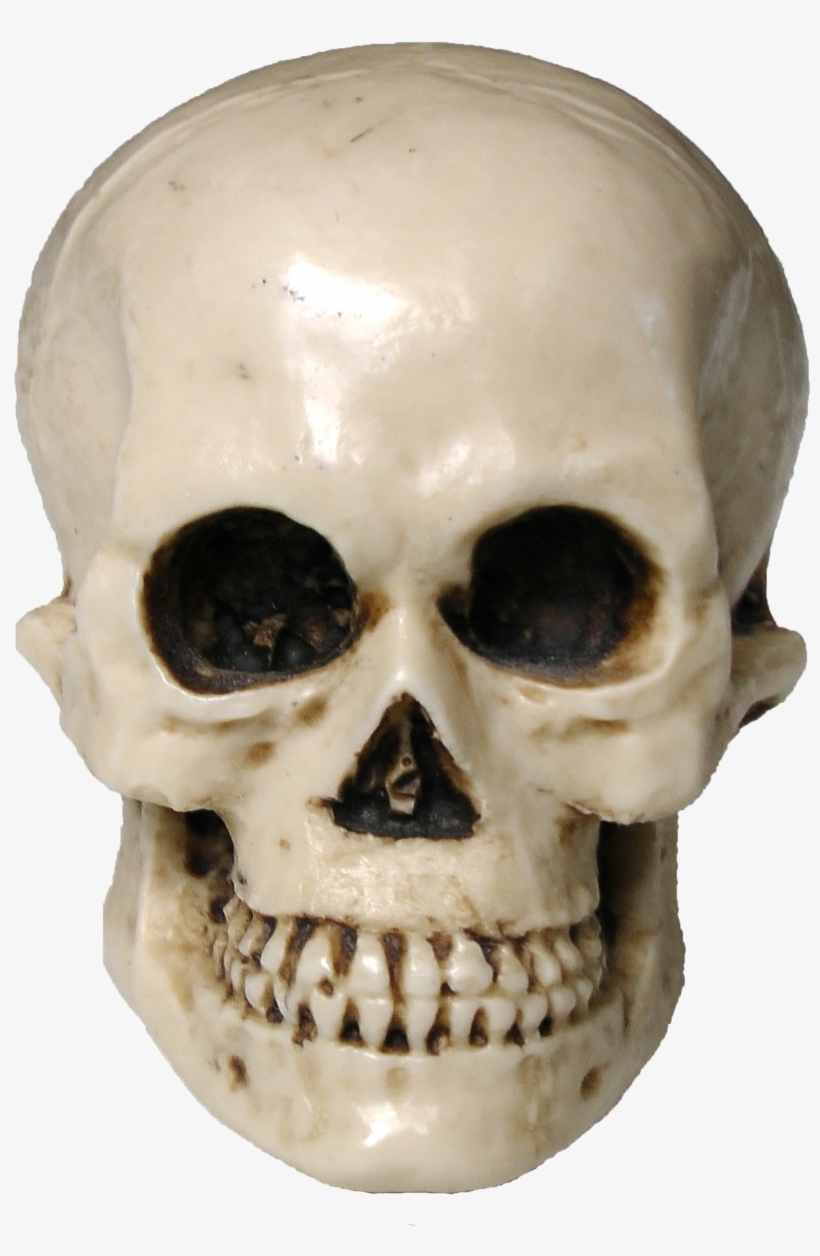 Free Skull Image - Skull, transparent png