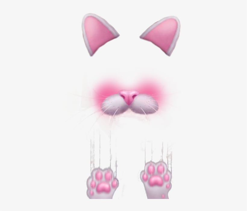 Free Icons Png - Cat Face Snapchat Png, transparent png
