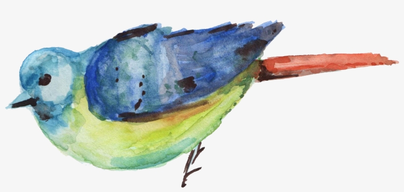 Watercolor Transparent Onlygfx - Watercolour Bird Png, transparent png