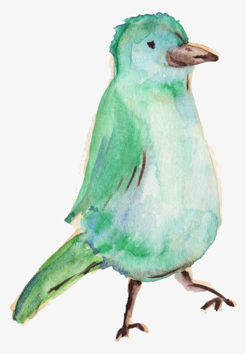 Water Color Bird Png - Bird Vector Png Watercolor, transparent png
