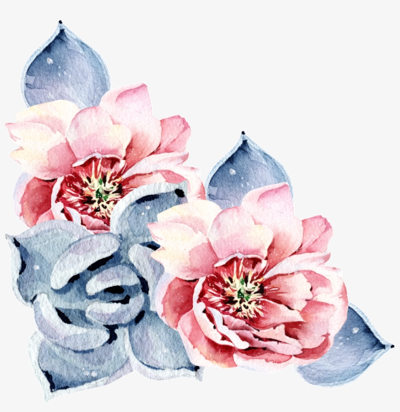 Red Succulent Flower Watercolor Hand Painted Transparent - Watercolor Painting, transparent png