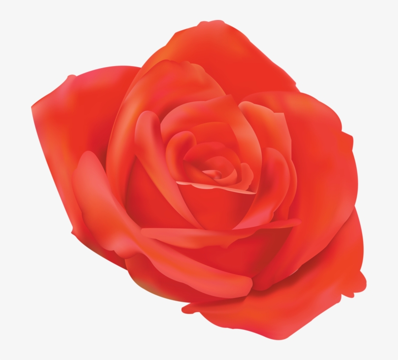Png Roses - Blue, transparent png