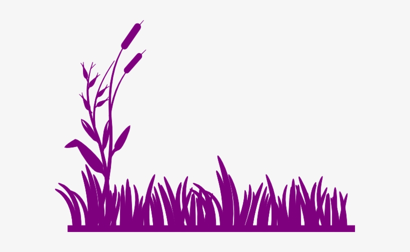 Grass Clipart Transparent Clipart Panda - Purple Grass Vector, transparent png
