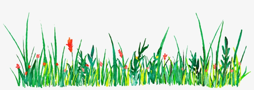 Euclidean Vector Icon - Grass Watercolor Png, transparent png