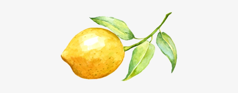 Lemonade Watercolor Png Graphic Transparent Stock - Water Color Lemon Png, transparent png