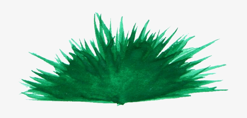 Free Download - Grass, transparent png