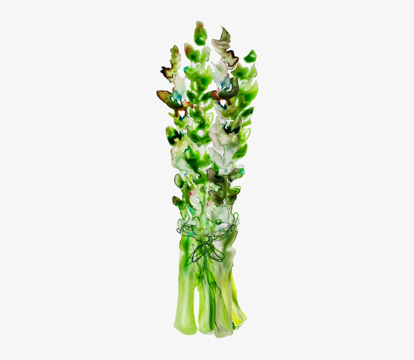 Watercolor Veggies For Holli Thompson Branding - Joseph Joseph - Worktop Saver Boards - Asparagus, transparent png