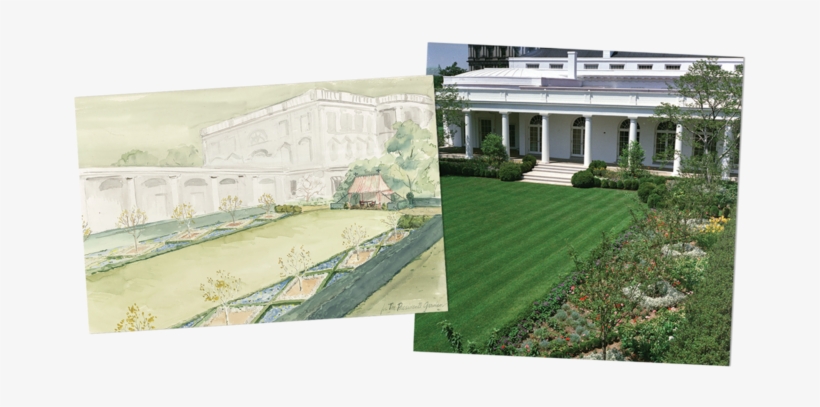 The Rose Garden - White House Rose Garden, transparent png