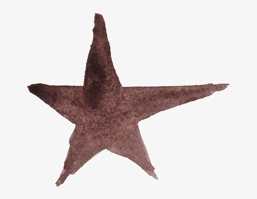 Free Download - Starfish, transparent png