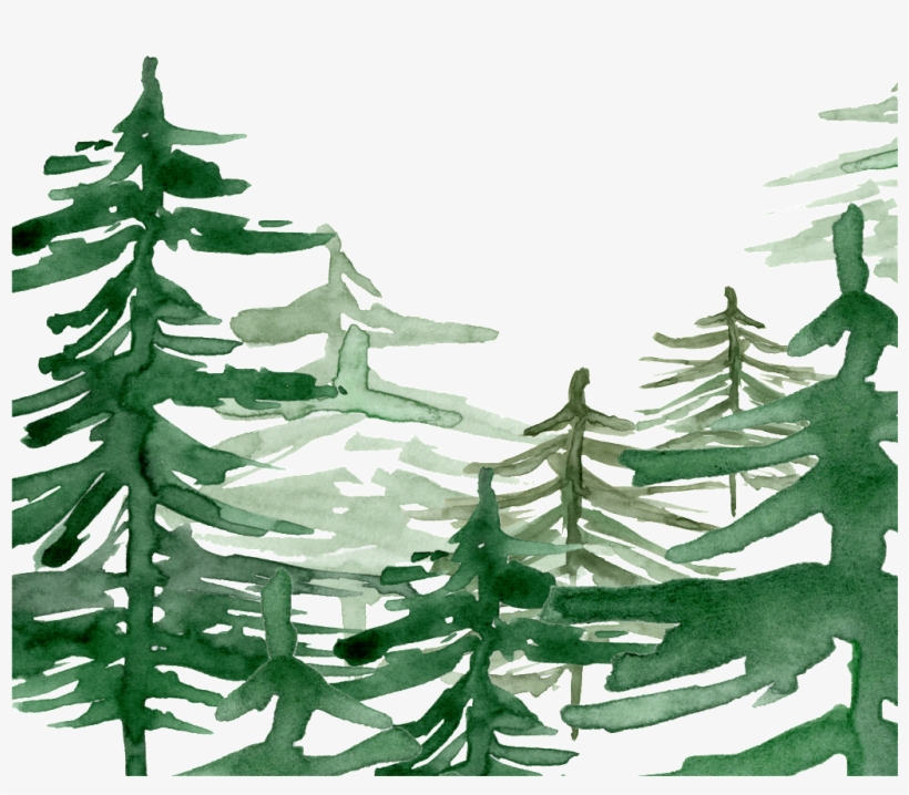Green Watercolor Hand Painted Forest Transparent Watercolor Painting 1024x1433 Png Download Pngkit