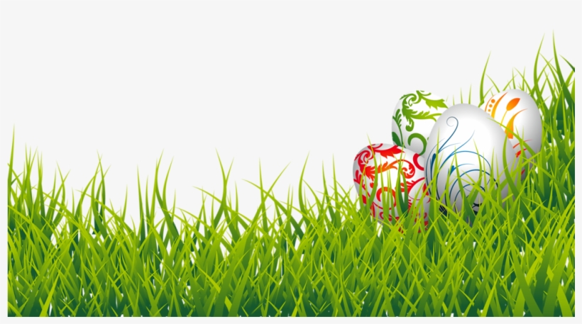 Easter Eggs And Grass Png Clipart Picture - Easter Eggs In Grass Png, transparent png