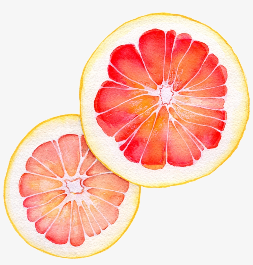 Watercolor - Grapefruit - Grapefruit Watercolor, transparent png