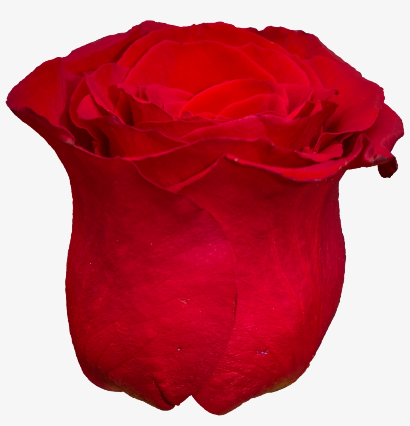 Free Download, transparent png