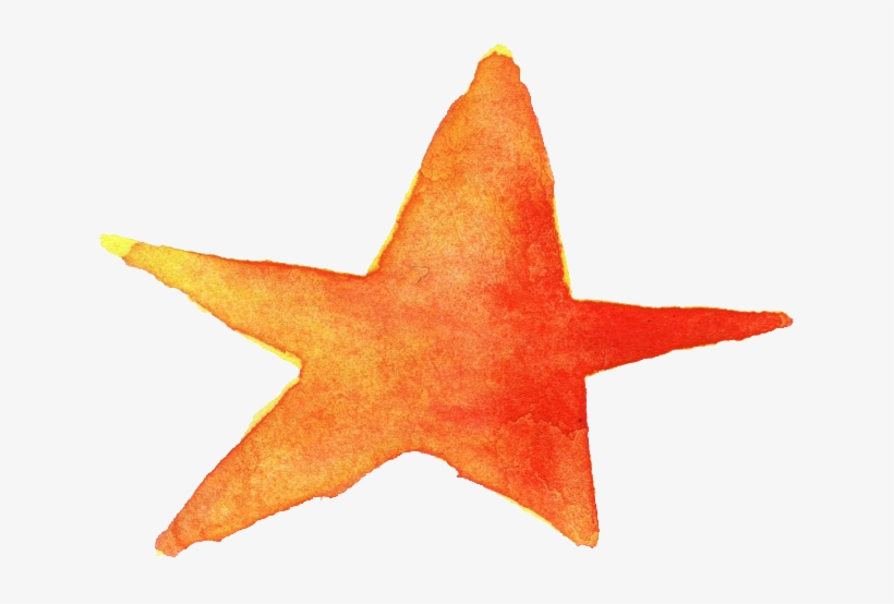 Free Download - Starfish, transparent png