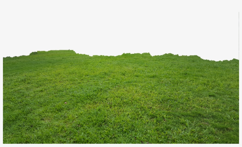 Grass Png High-quality Image - Grass, transparent png