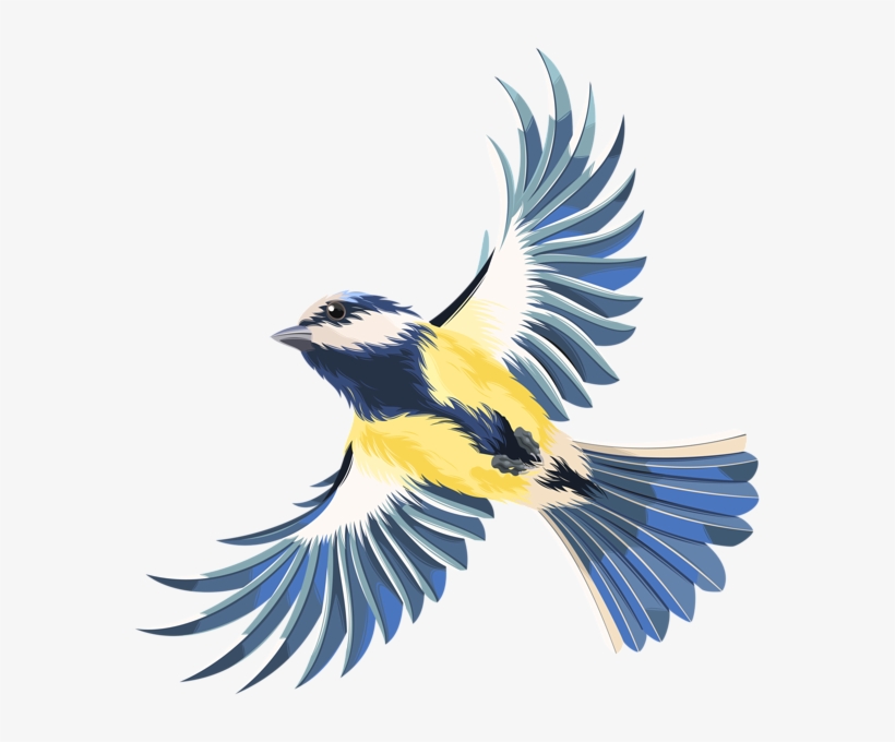 Image Library Flying Transparent Png Clip Art Image - Bird Flying Clip Art, transparent png