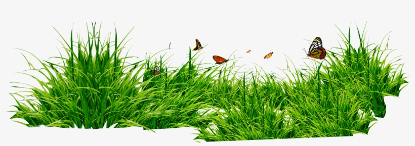 Leaves And Flowers Png, transparent png