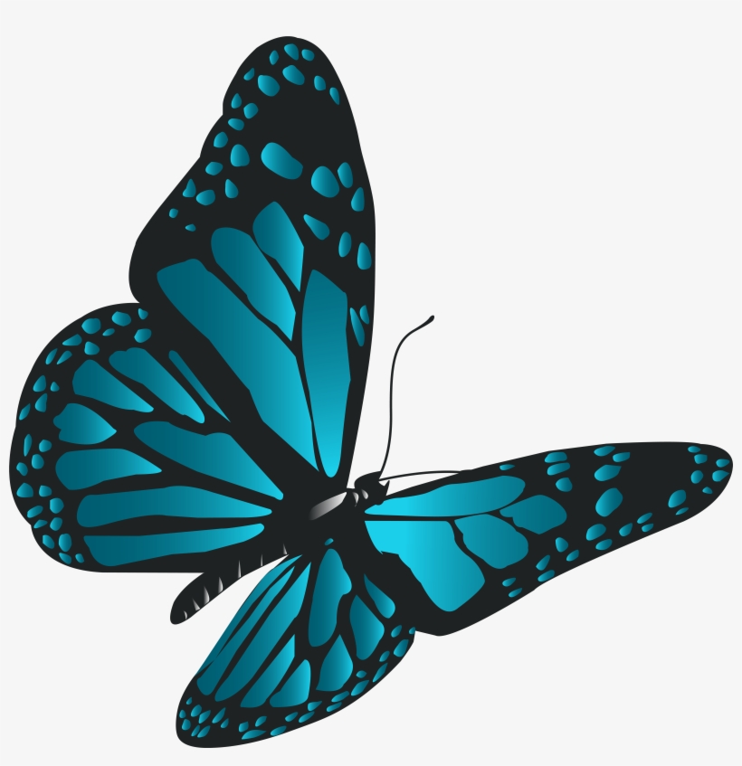 Butterfly Png, transparent png